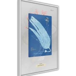 Poster 'Alga'
