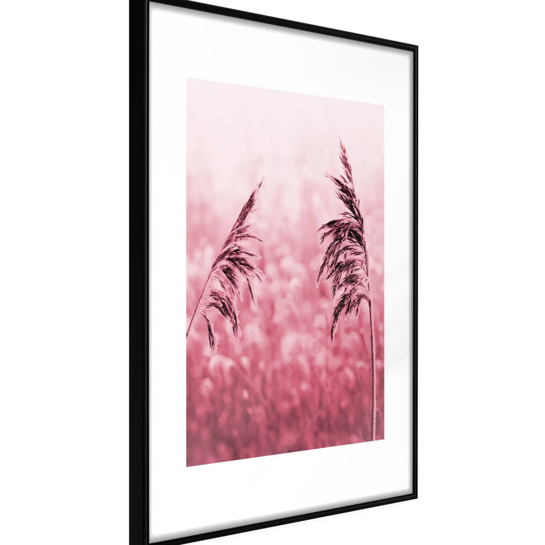 Poster 'Amaranth Meadow'