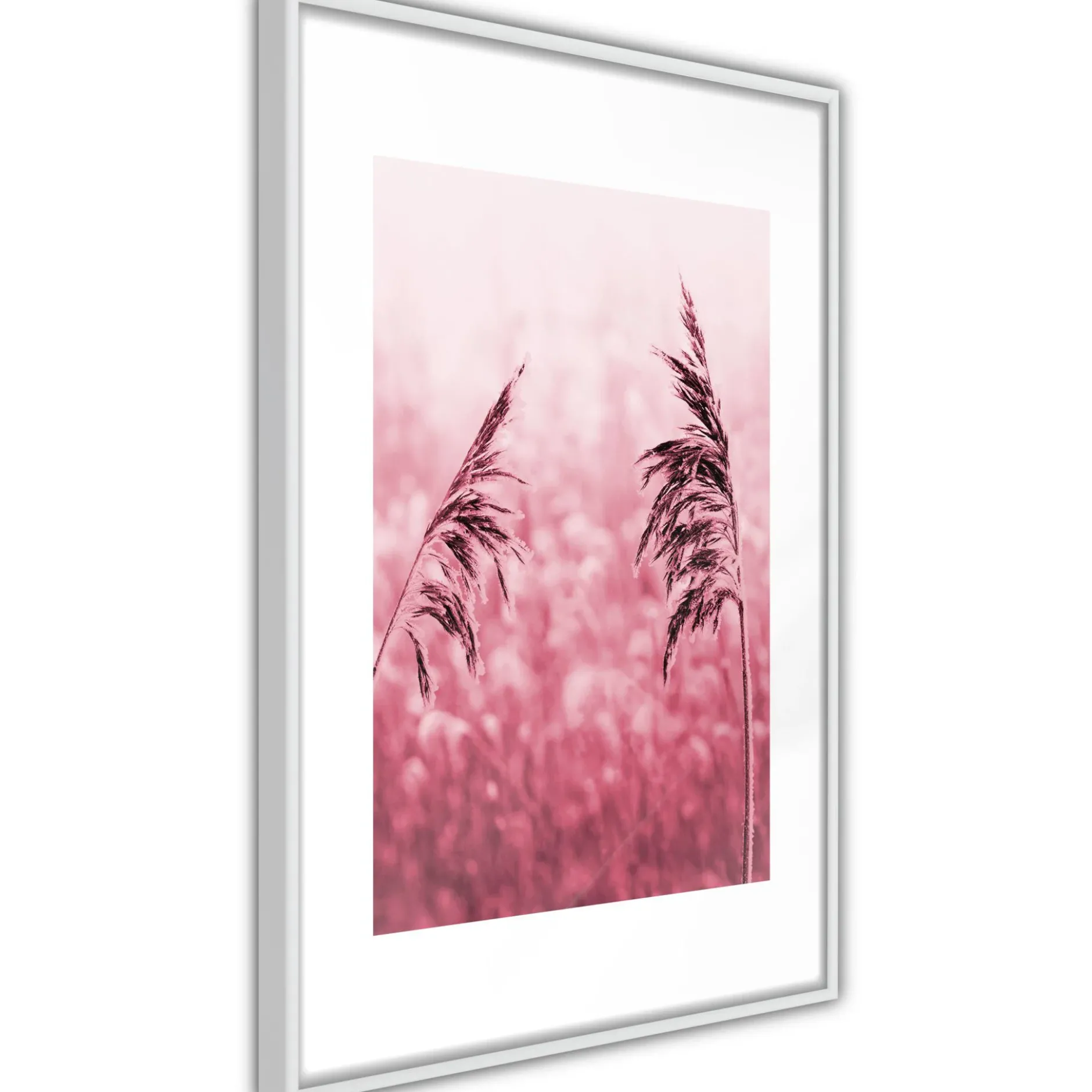 Poster 'Amaranth Meadow'