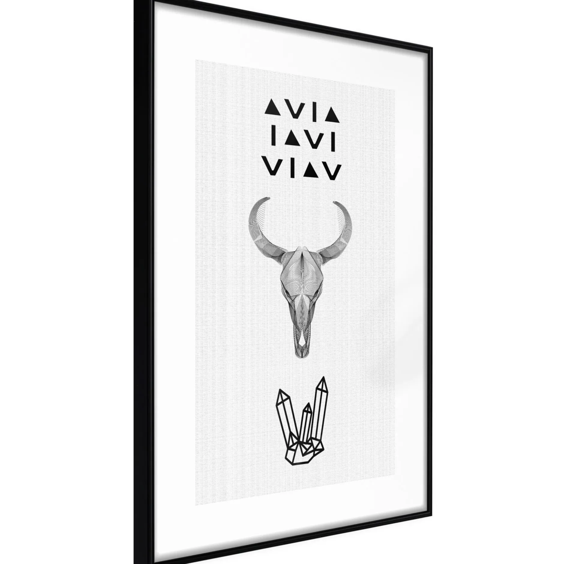 Poster 'Animal Skull'