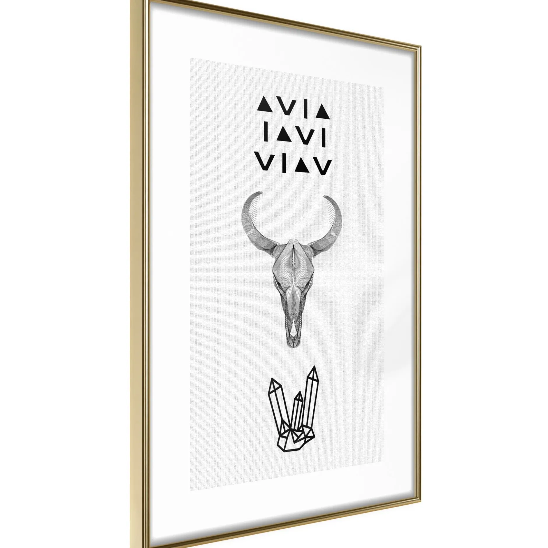 Poster 'Animal Skull'