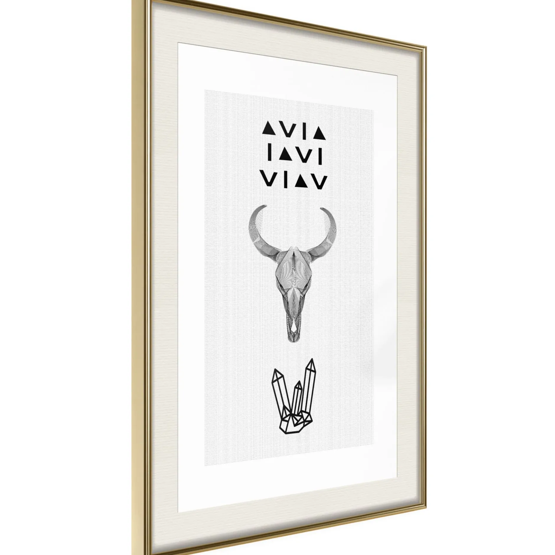 Poster 'Animal Skull'