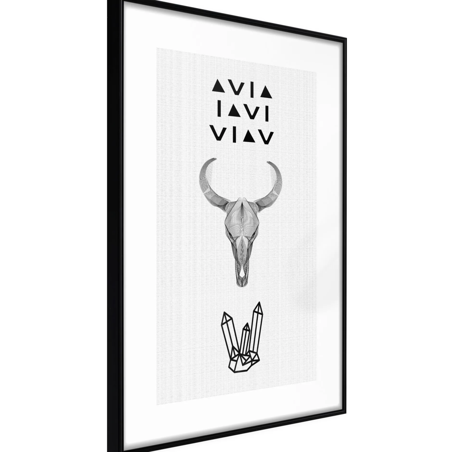 Poster 'Animal Skull'