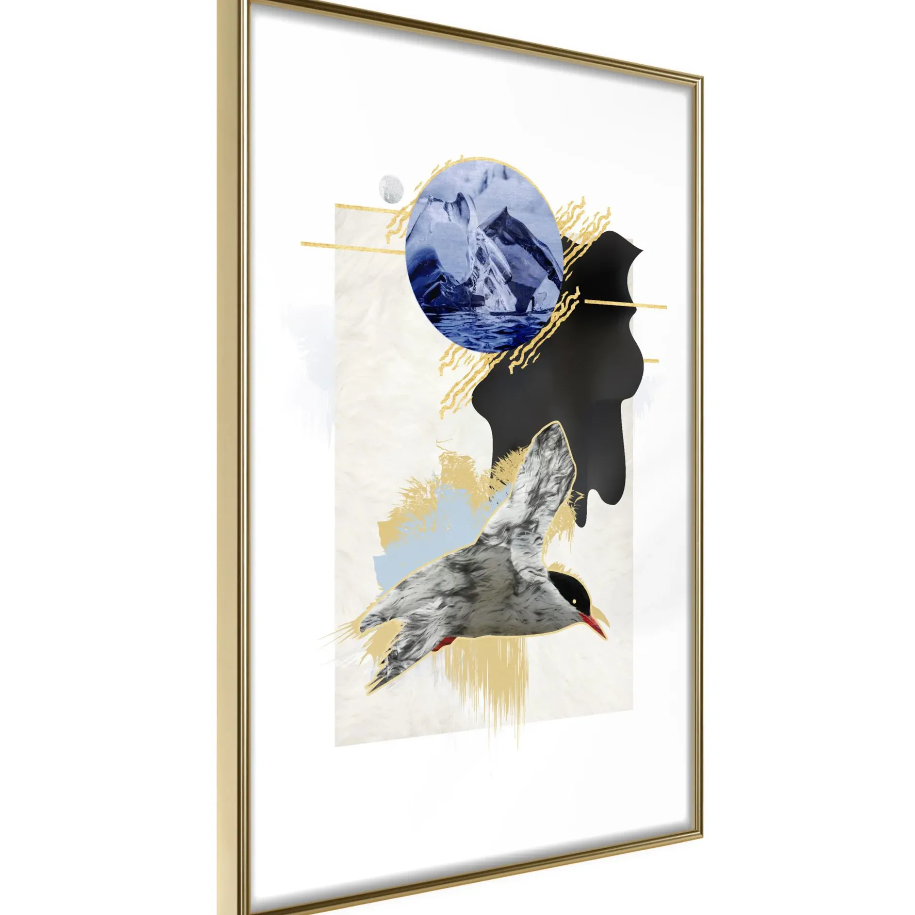 Poster 'Antarctic Tern'