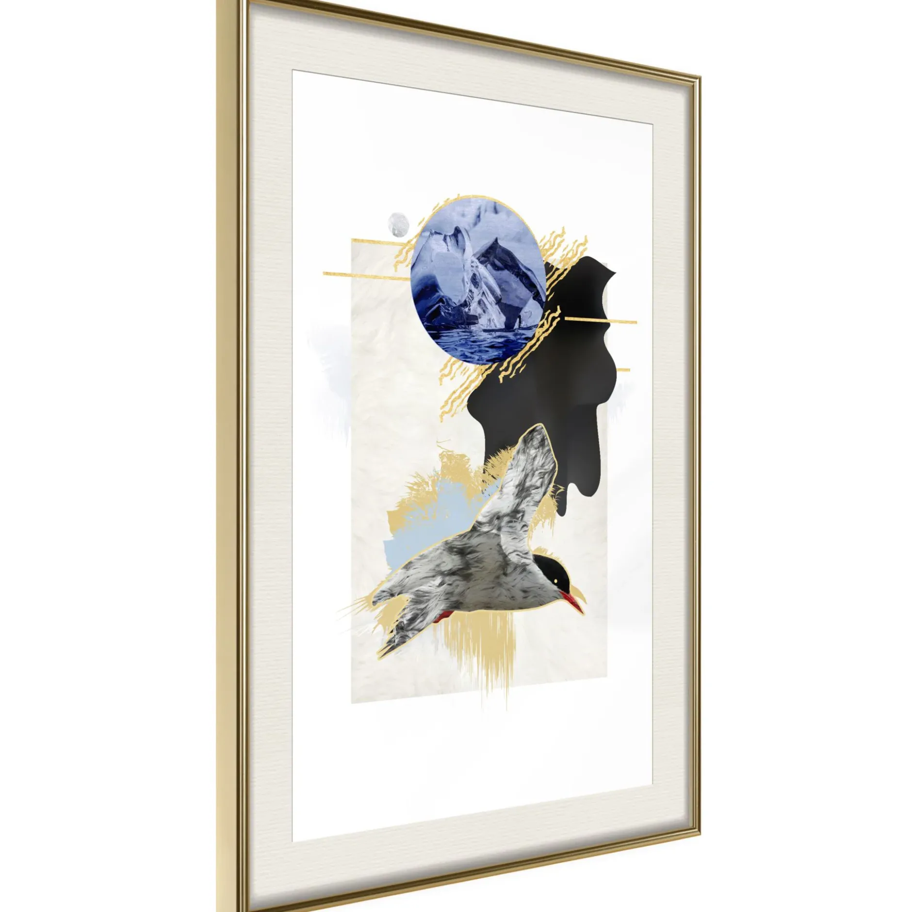 Poster 'Antarctic Tern'