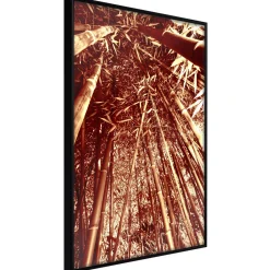 Poster 'Asian Forest'