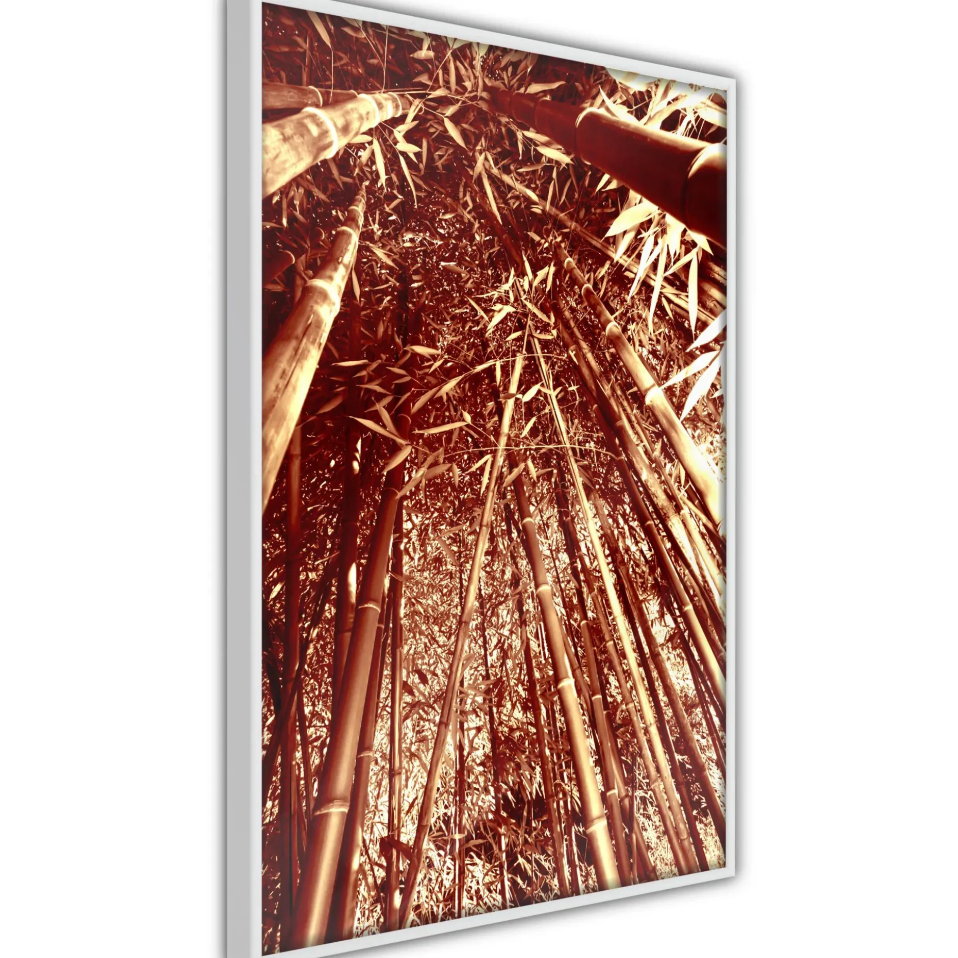 Poster 'Asian Forest'