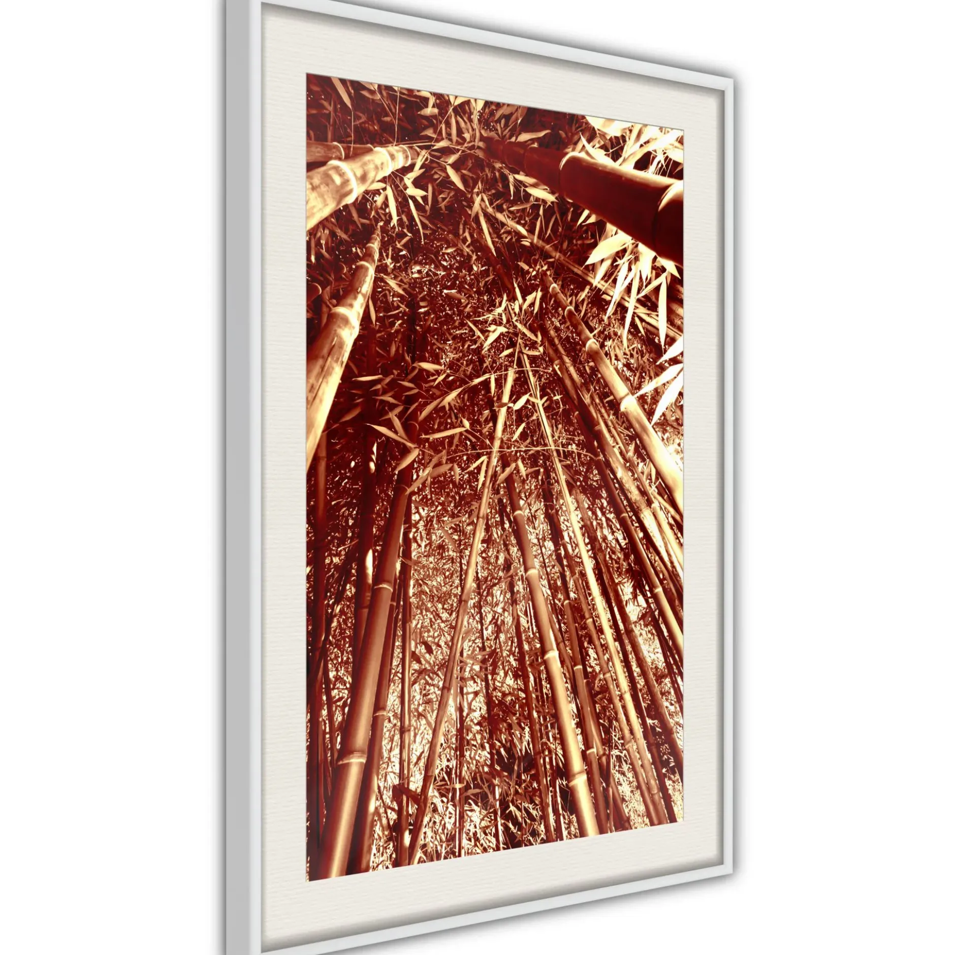 Poster 'Asian Forest'
