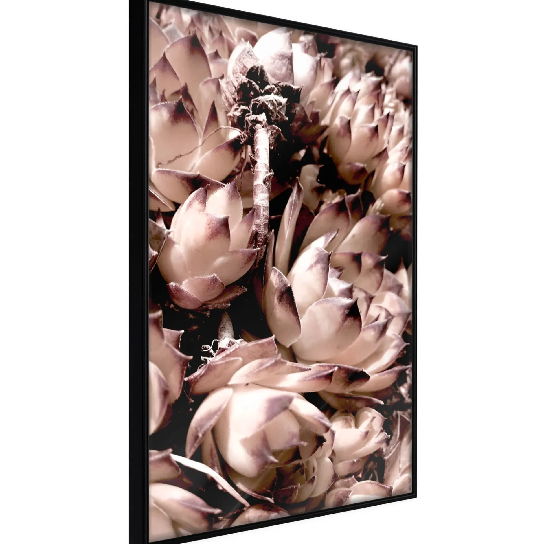 Poster 'Autumnal Flowers'