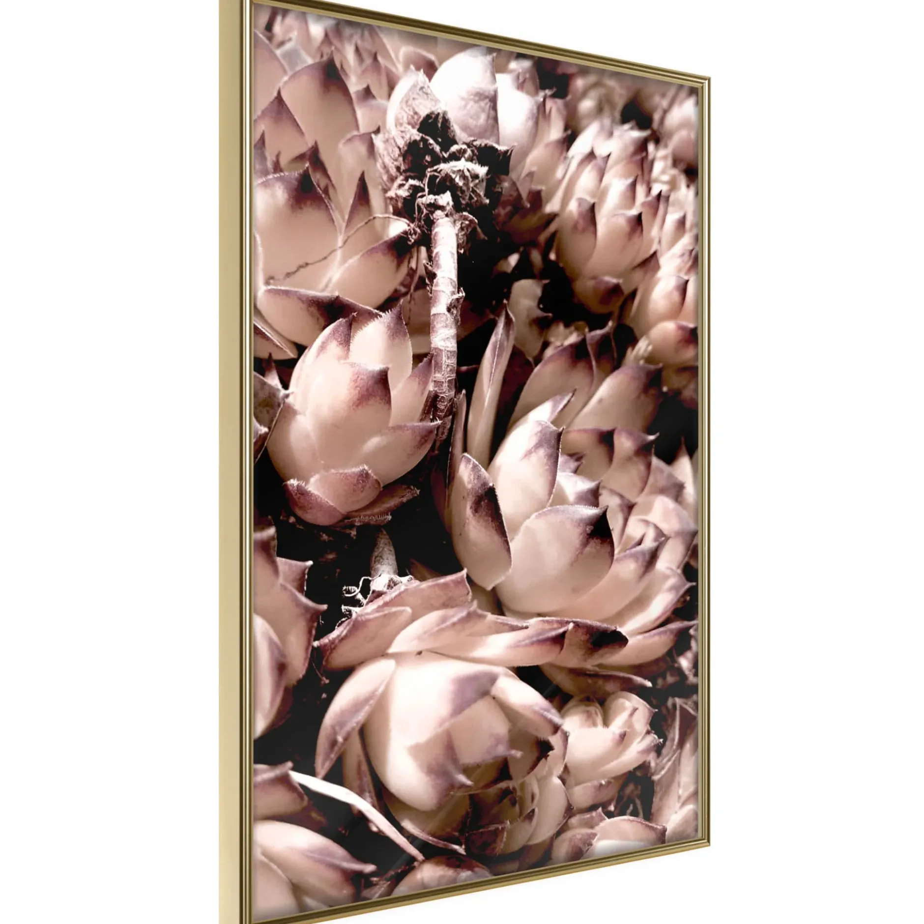 Poster 'Autumnal Flowers'
