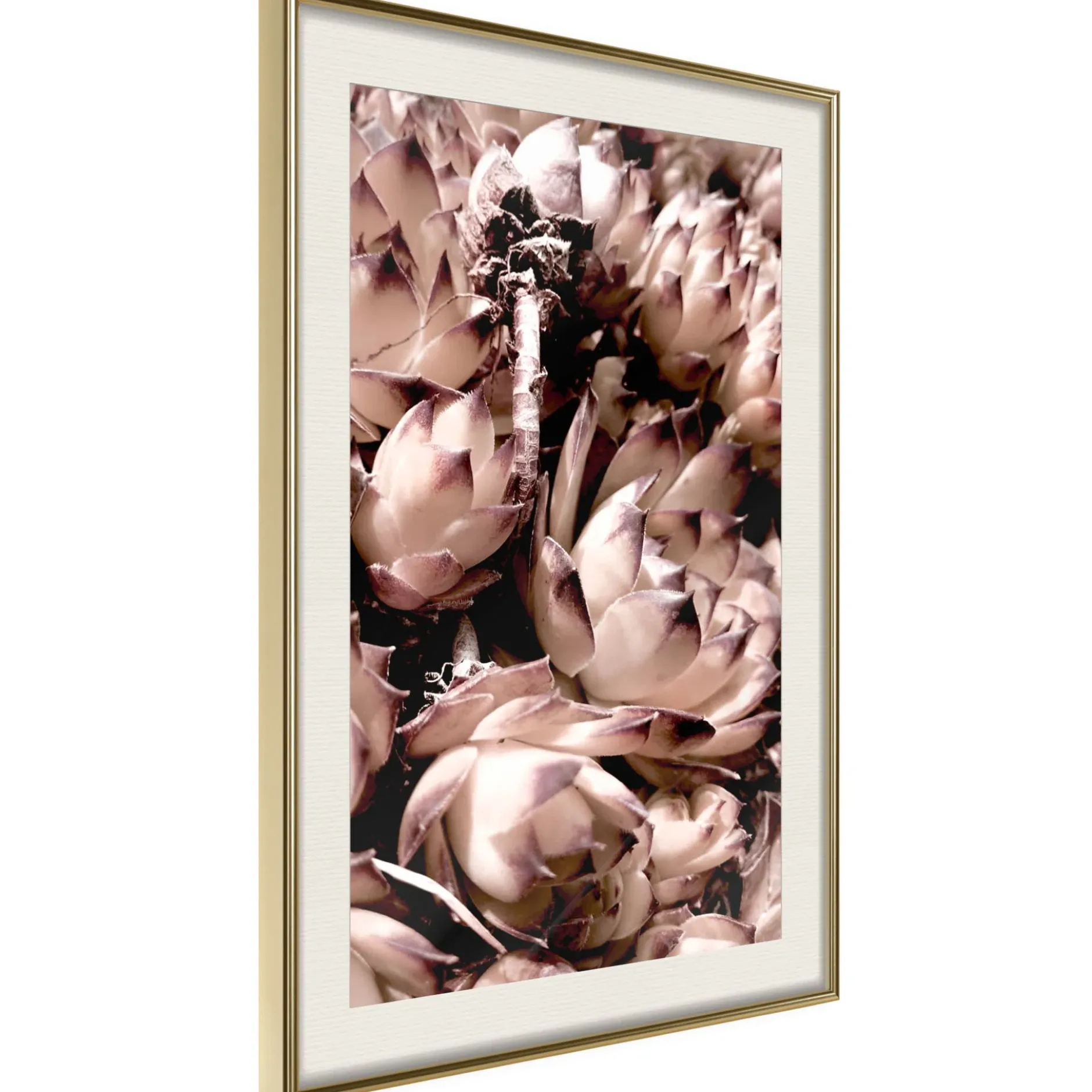 Poster 'Autumnal Flowers'