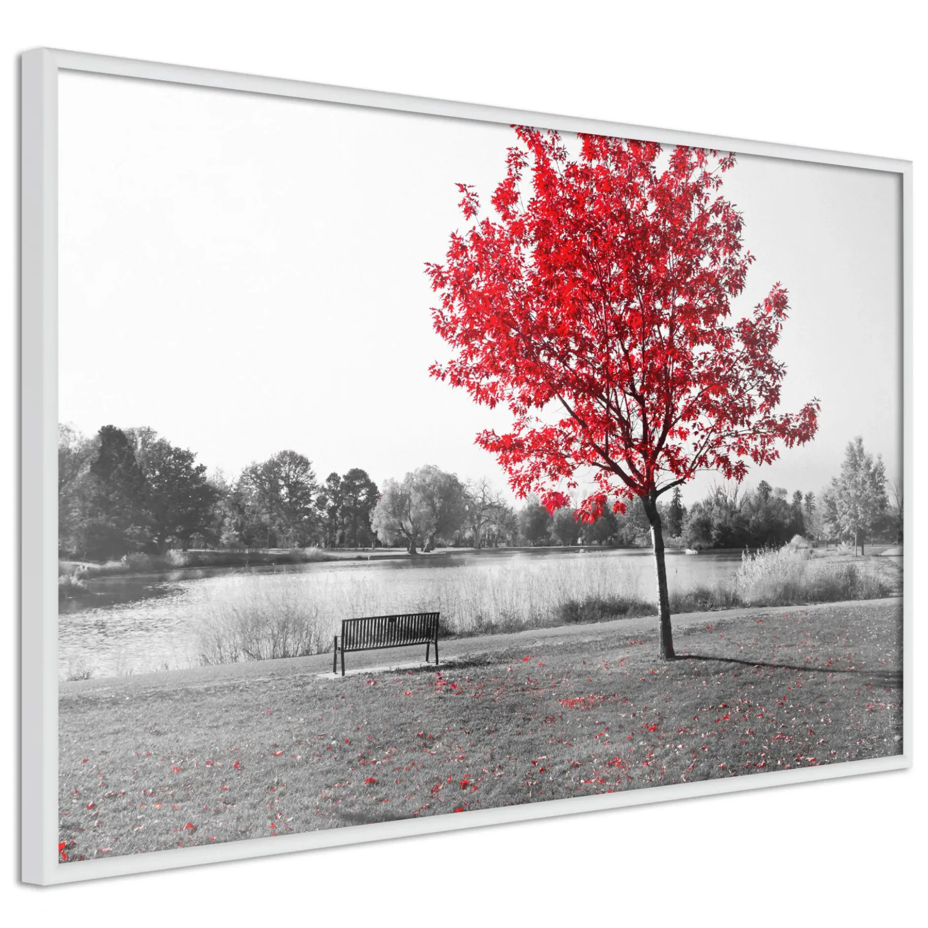 Poster 'Autumn Colours I'