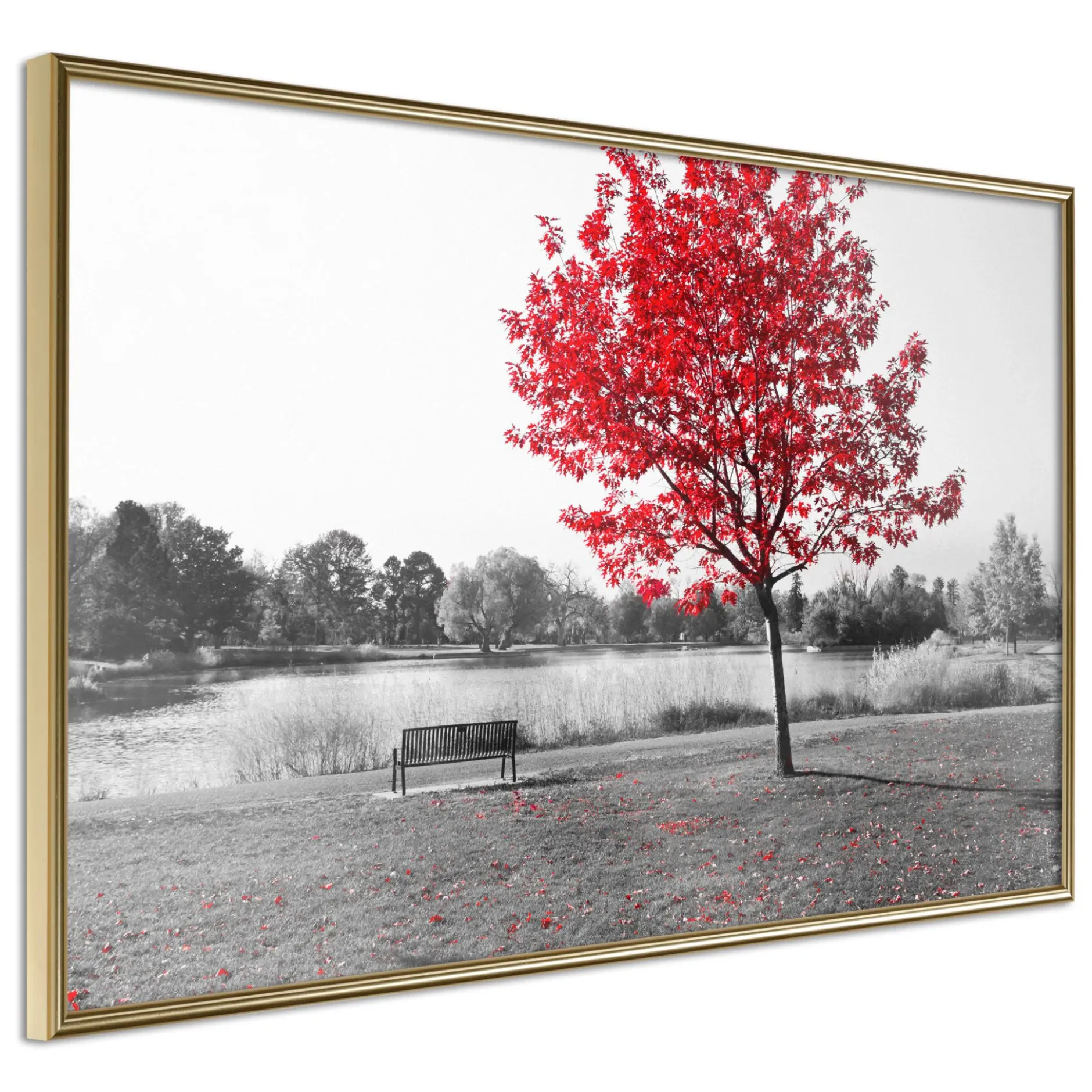 Poster 'Autumn Colours I'