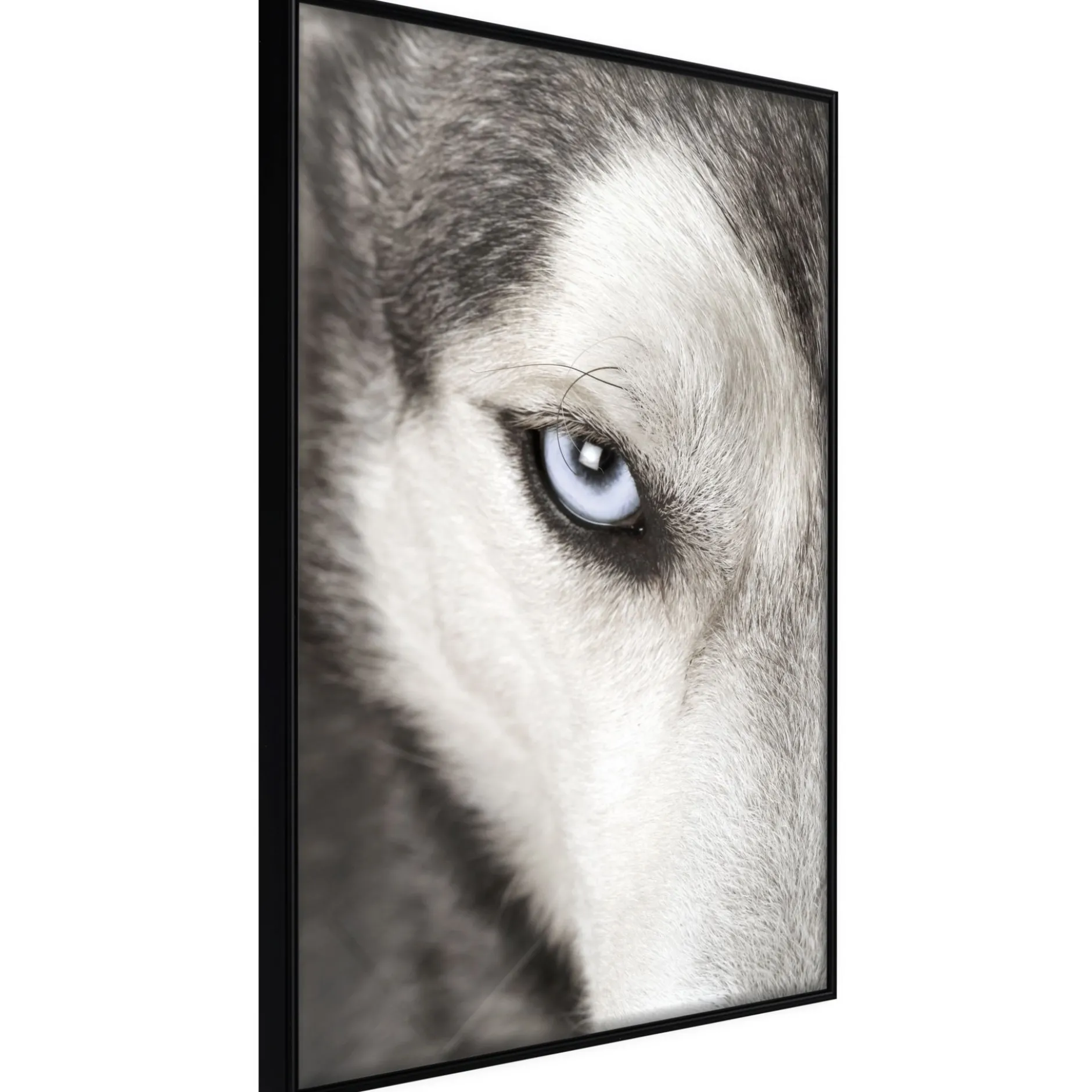Poster 'Azure Eye'