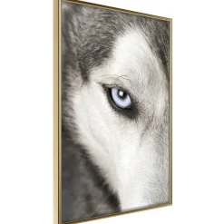 Poster 'Azure Eye'