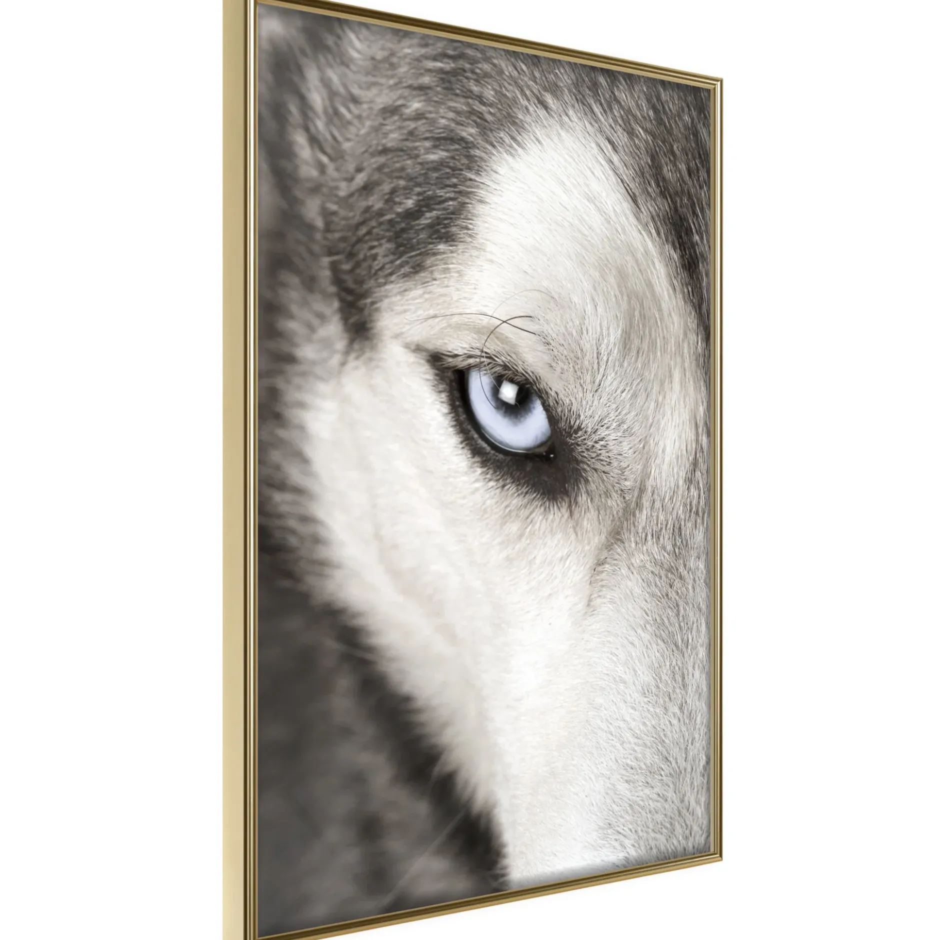 Poster 'Azure Eye'