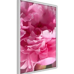Poster 'Beautiful Peonies'