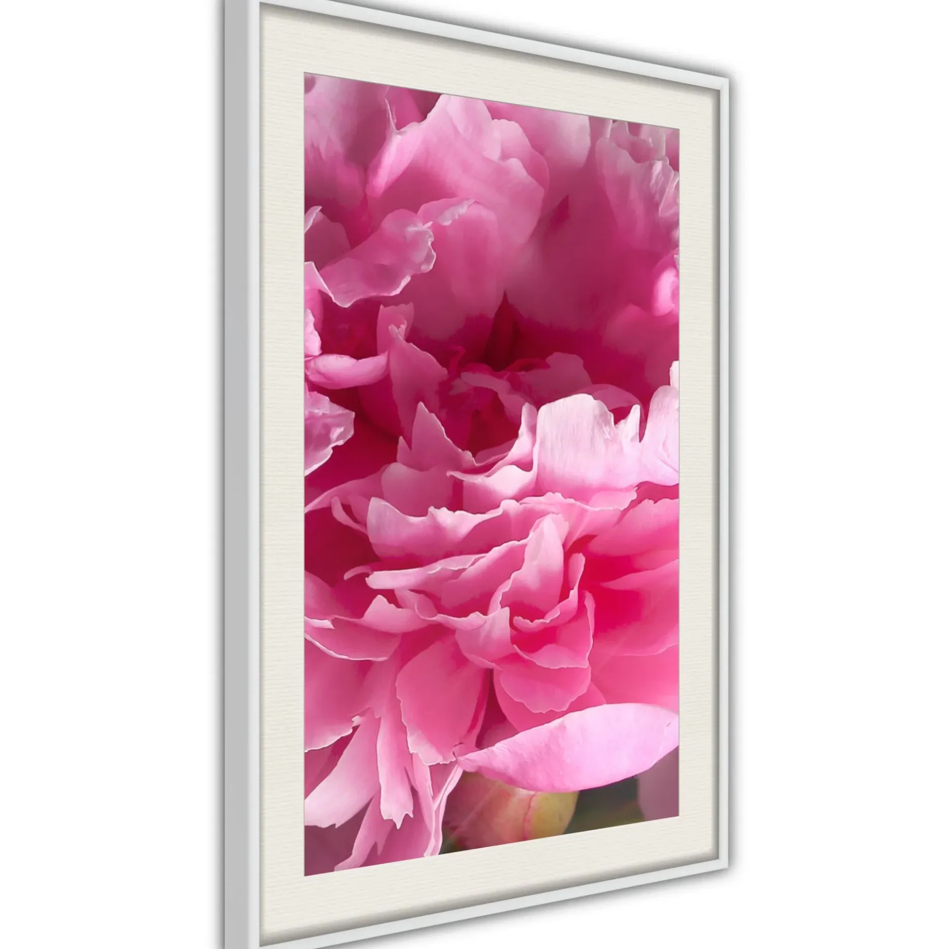 Poster 'Beautiful Peonies'