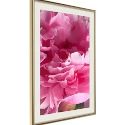Poster 'Beautiful Peonies'