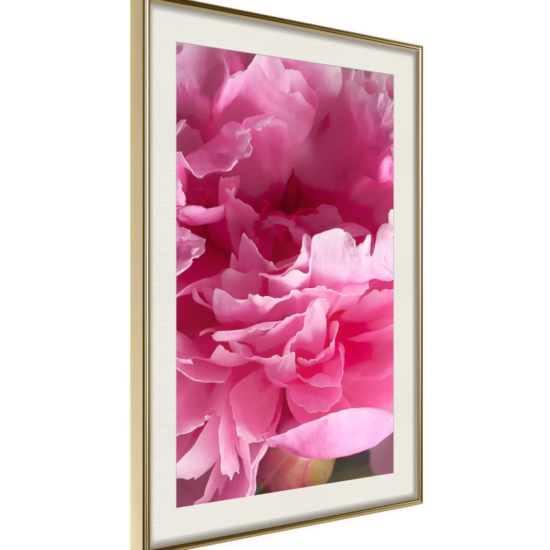 Poster 'Beautiful Peonies'