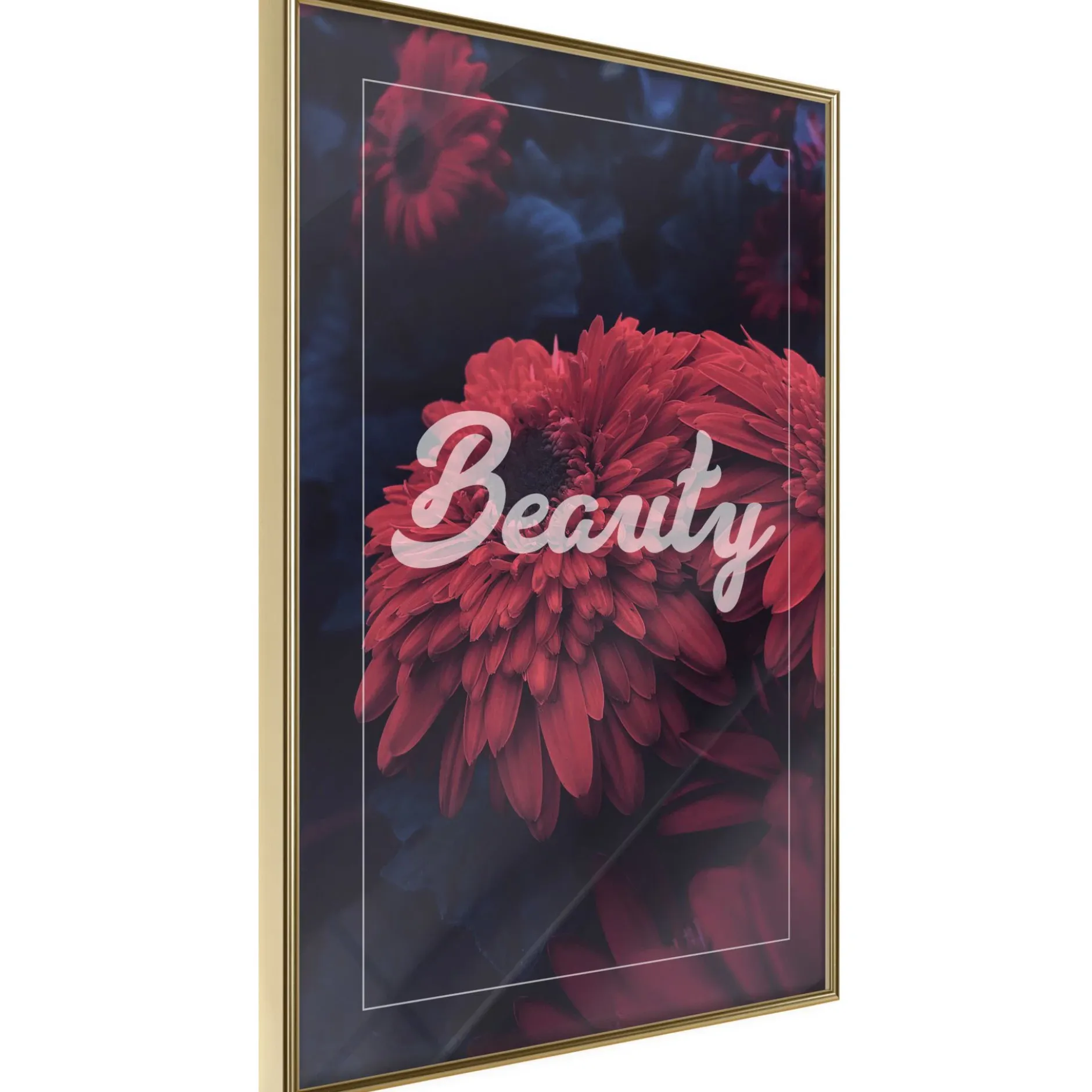 Poster 'Beauty'
