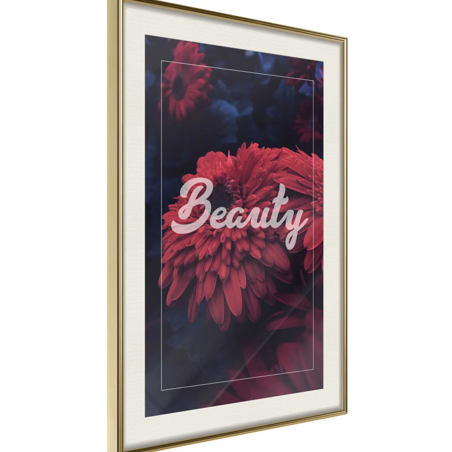 Poster 'Beauty'