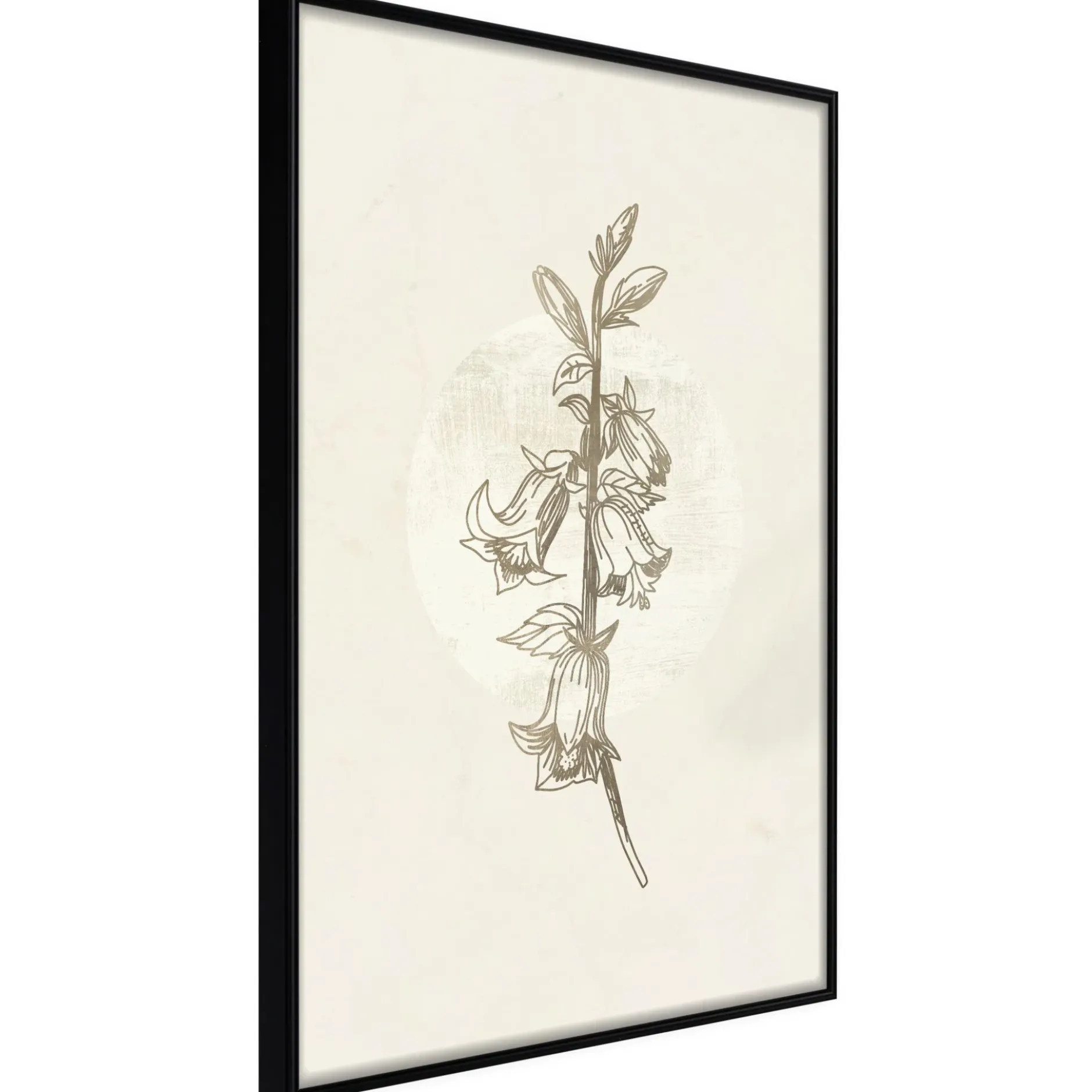 Poster 'Beige Campanula'