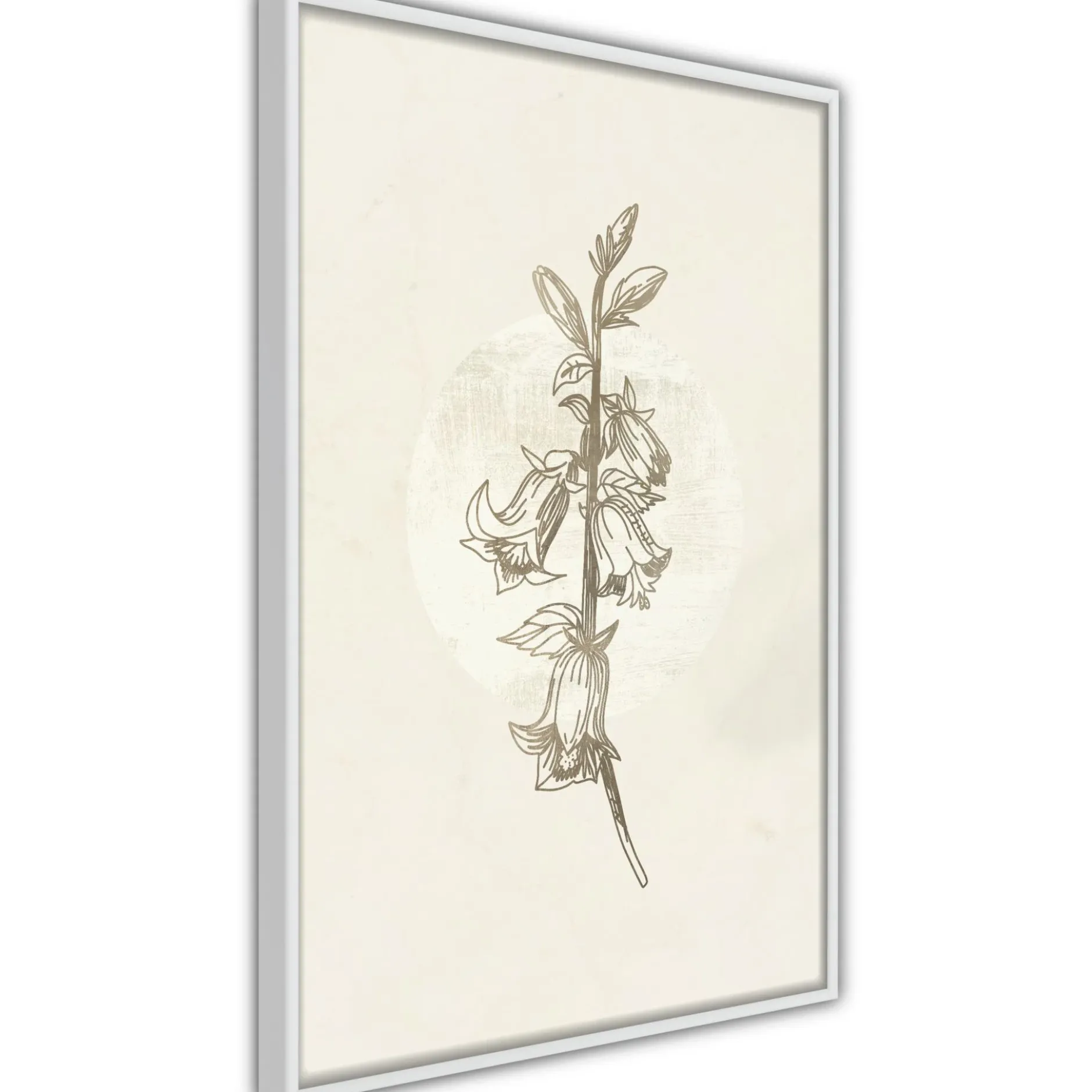 Poster 'Beige Campanula'