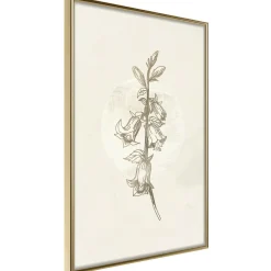 Poster 'Beige Campanula'