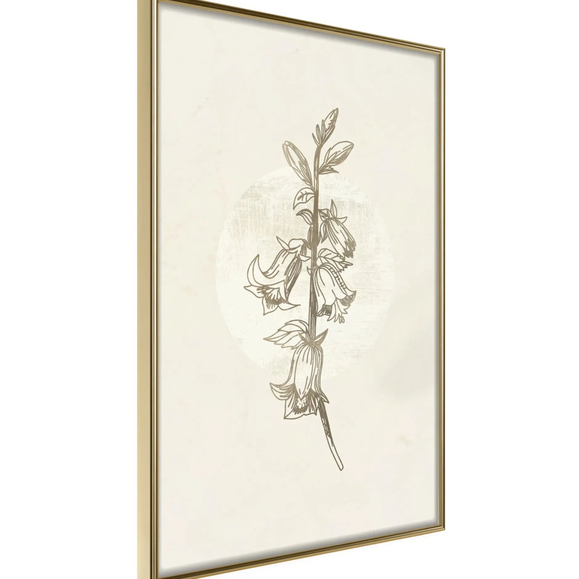 Poster 'Beige Campanula'
