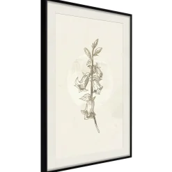 Poster 'Beige Campanula'