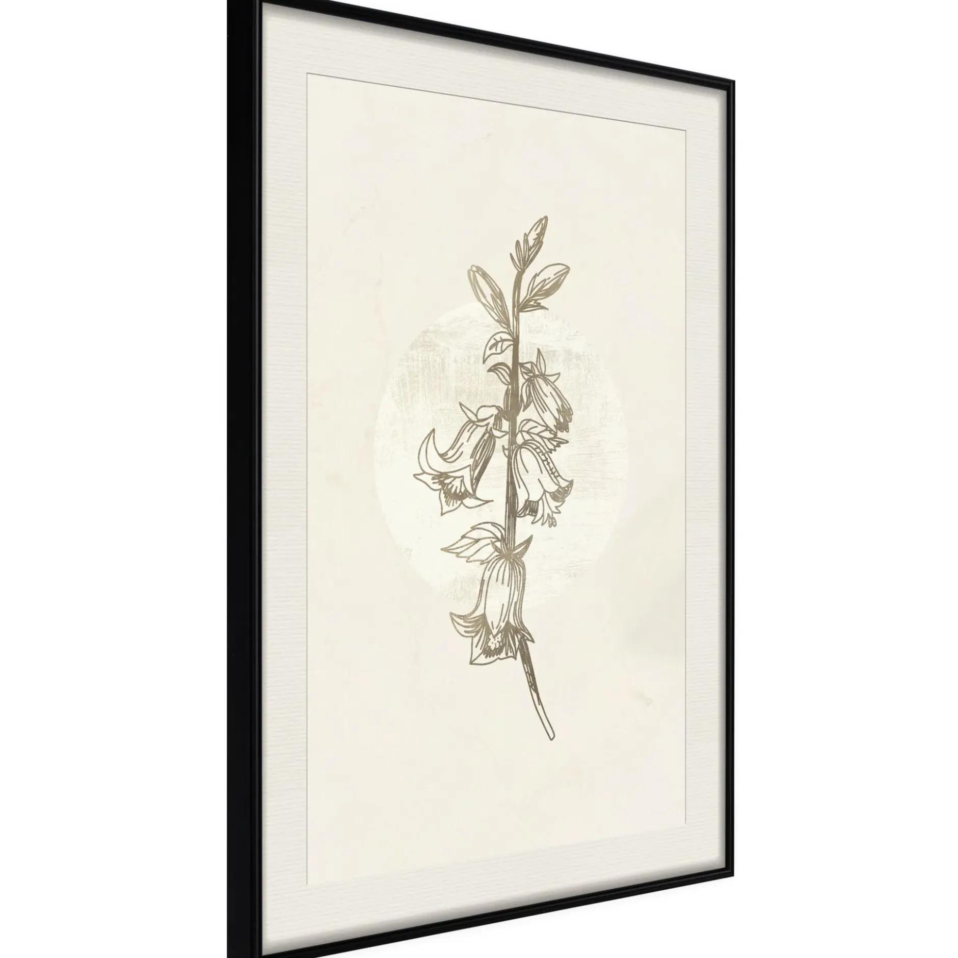 Poster 'Beige Campanula'