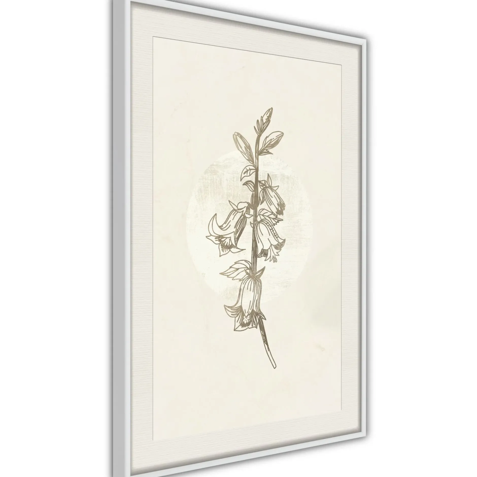 Poster 'Beige Campanula'
