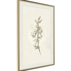 Poster 'Beige Campanula'