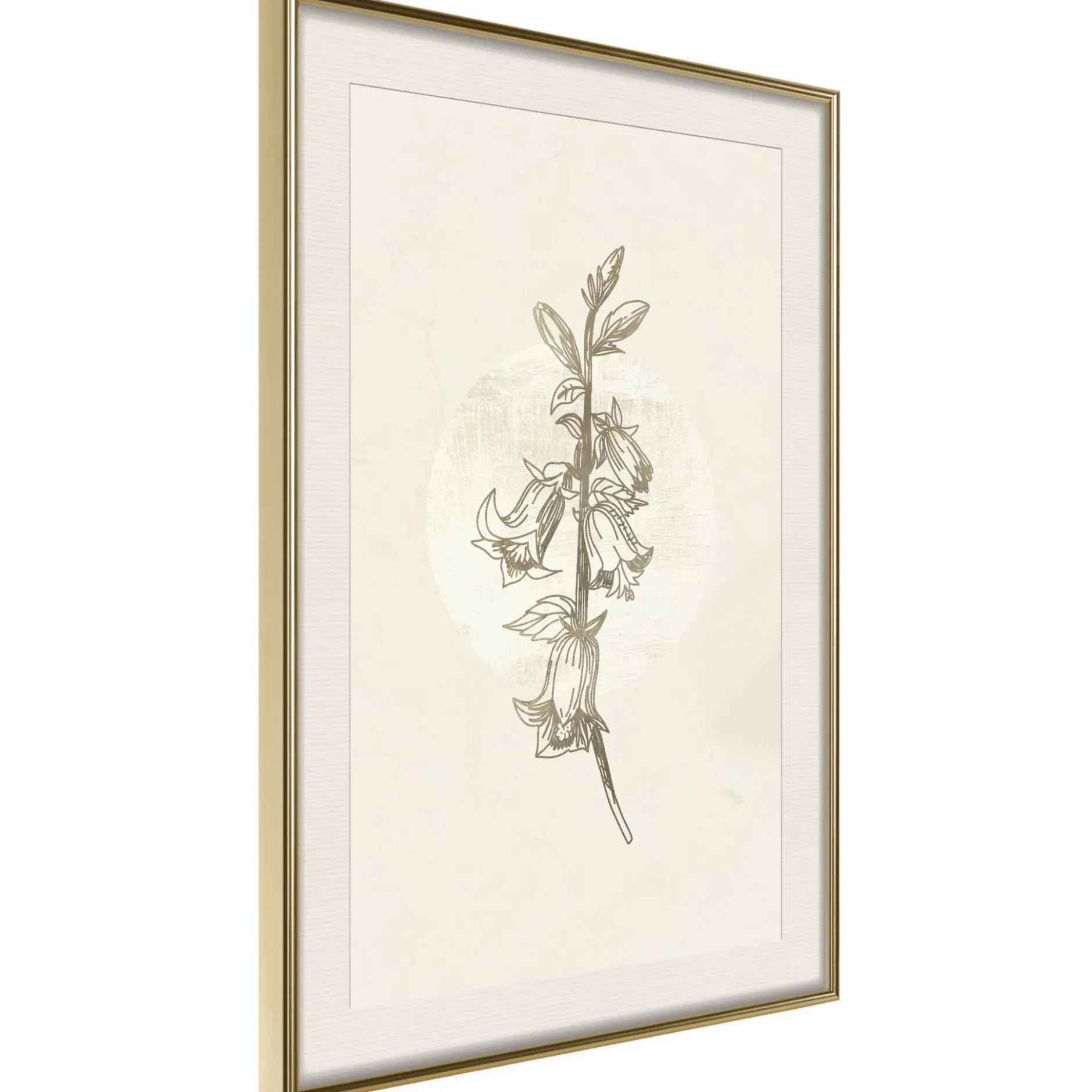 Poster 'Beige Campanula'