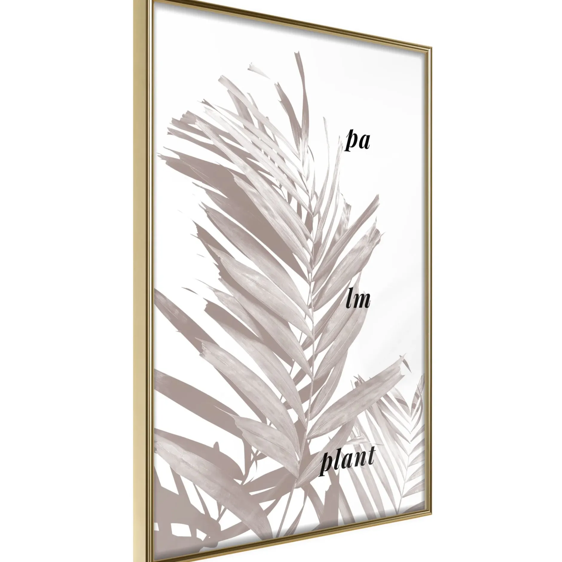 Poster 'Beige Palm'