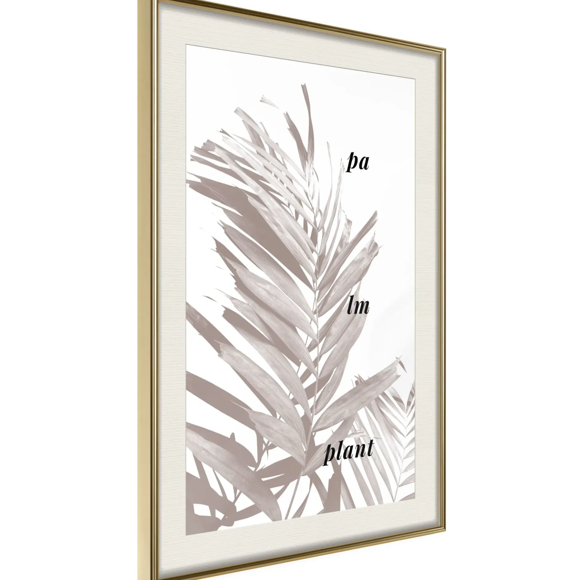 Poster 'Beige Palm'