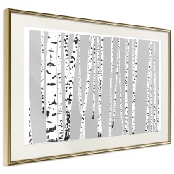 Poster 'Birch Wood'
