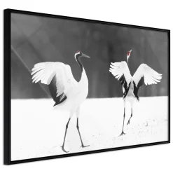 Poster 'Bird Date'