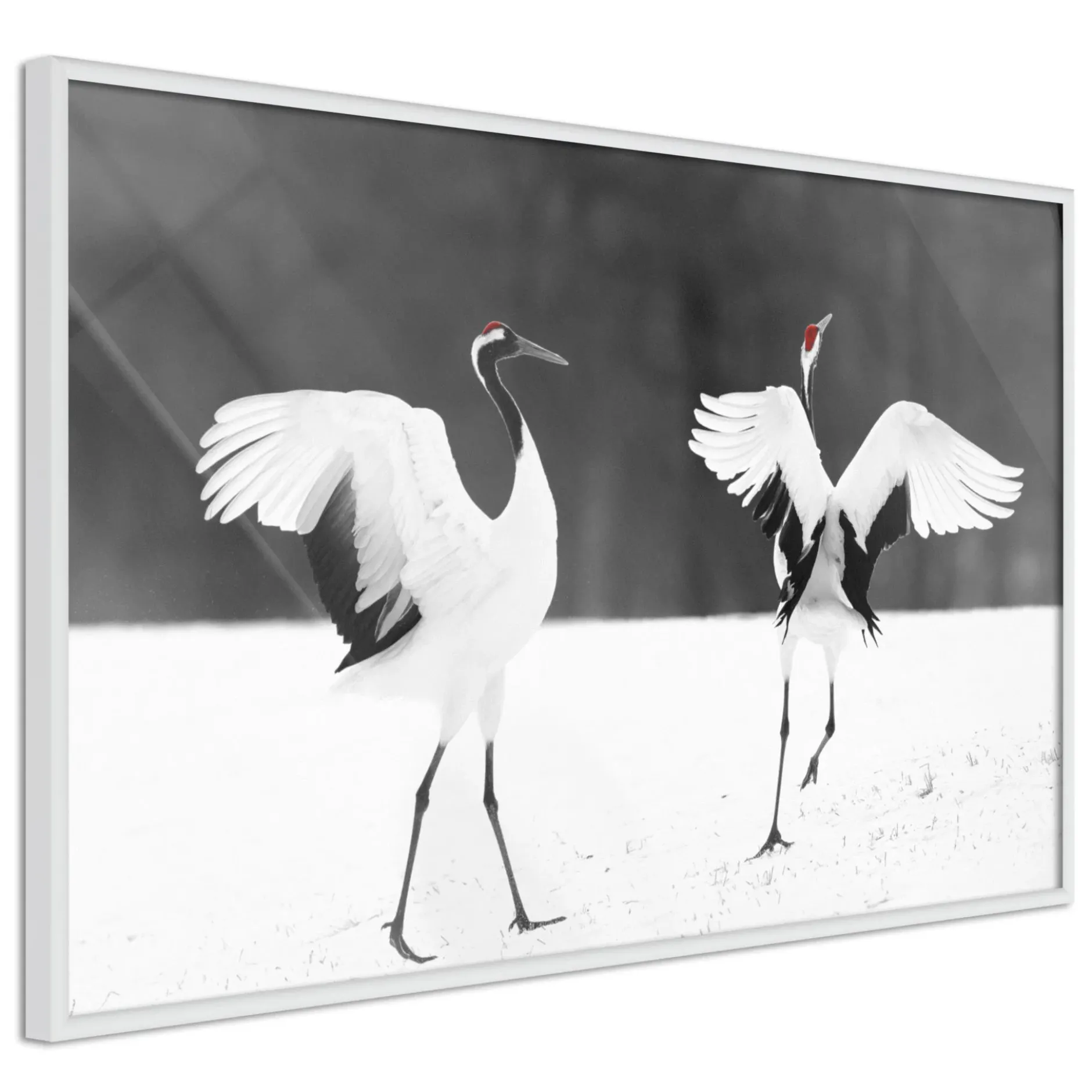 Poster 'Bird Date'