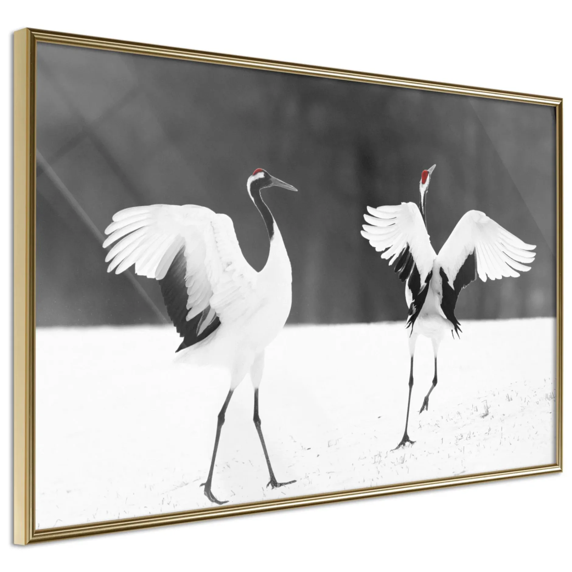 Poster 'Bird Date'