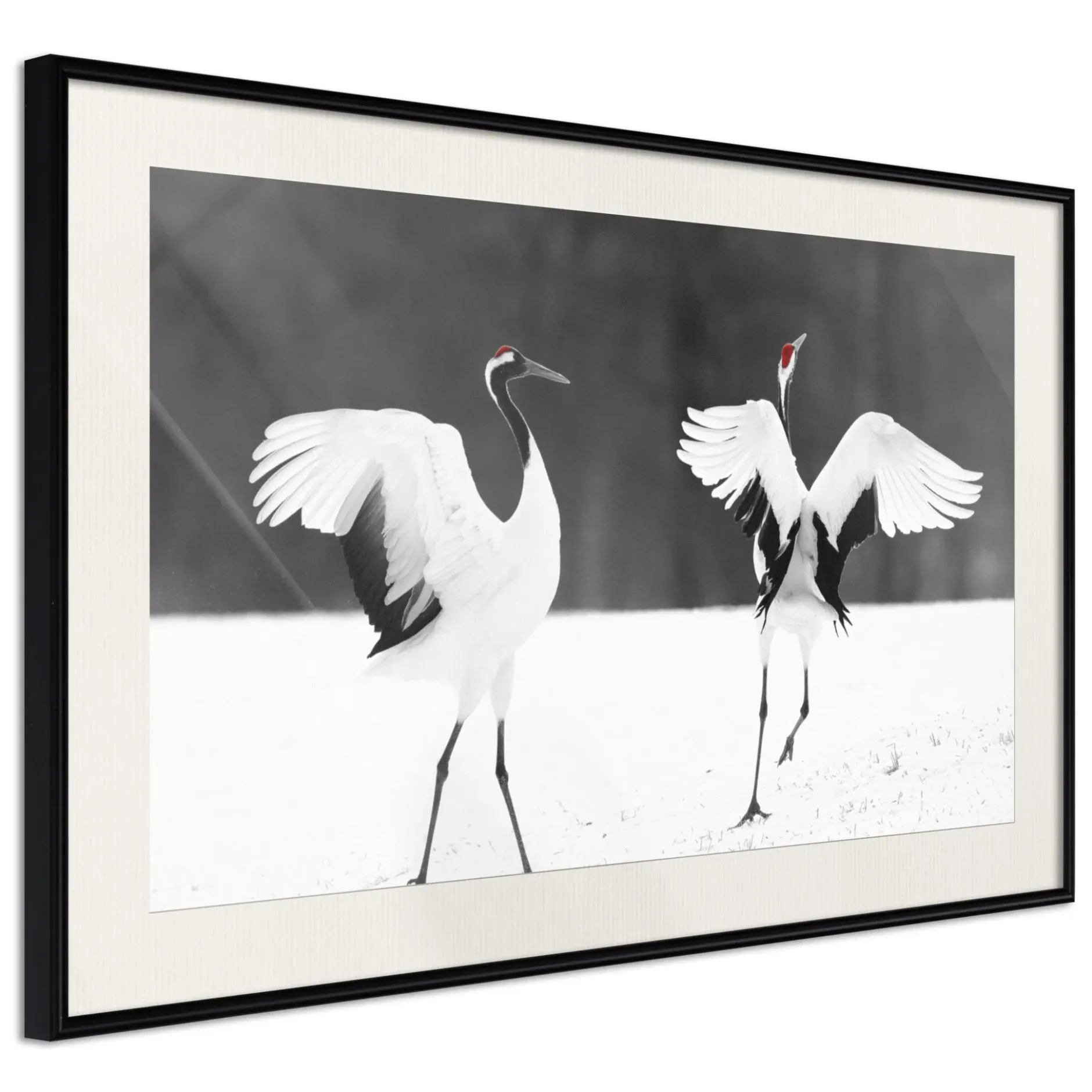 Poster 'Bird Date'