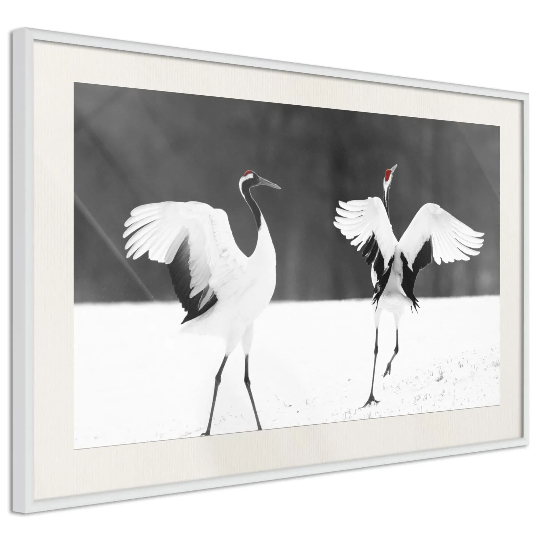 Poster 'Bird Date'