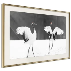 Poster 'Bird Date'