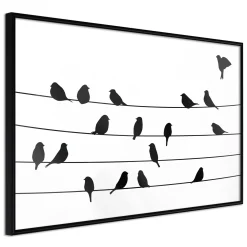 Poster 'Birds Council Meeting'
