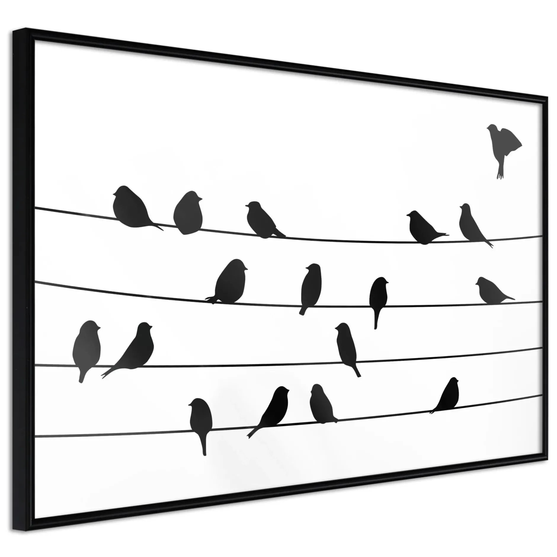 Poster 'Birds Council Meeting'