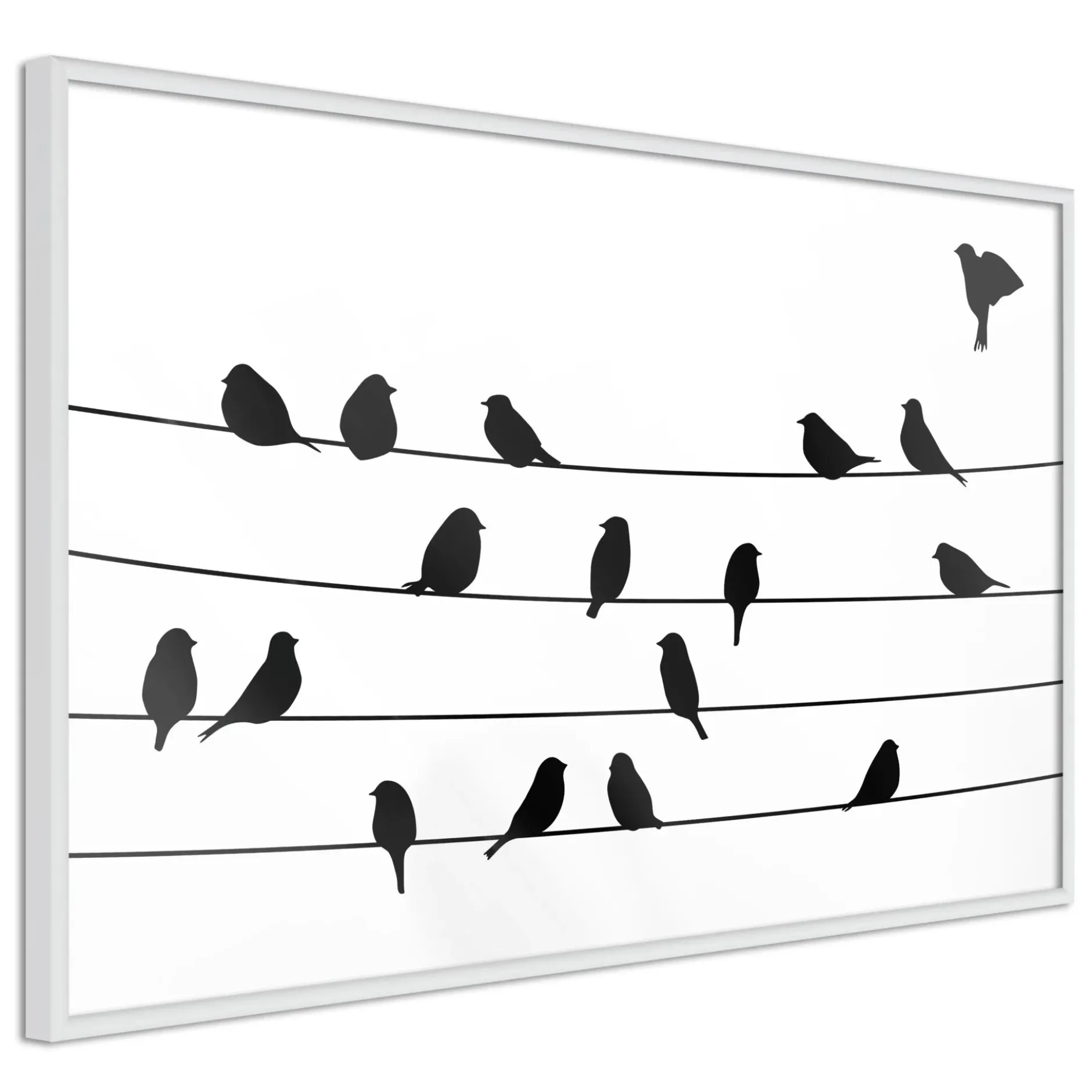 Poster 'Birds Council Meeting'