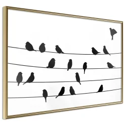 Poster 'Birds Council Meeting'