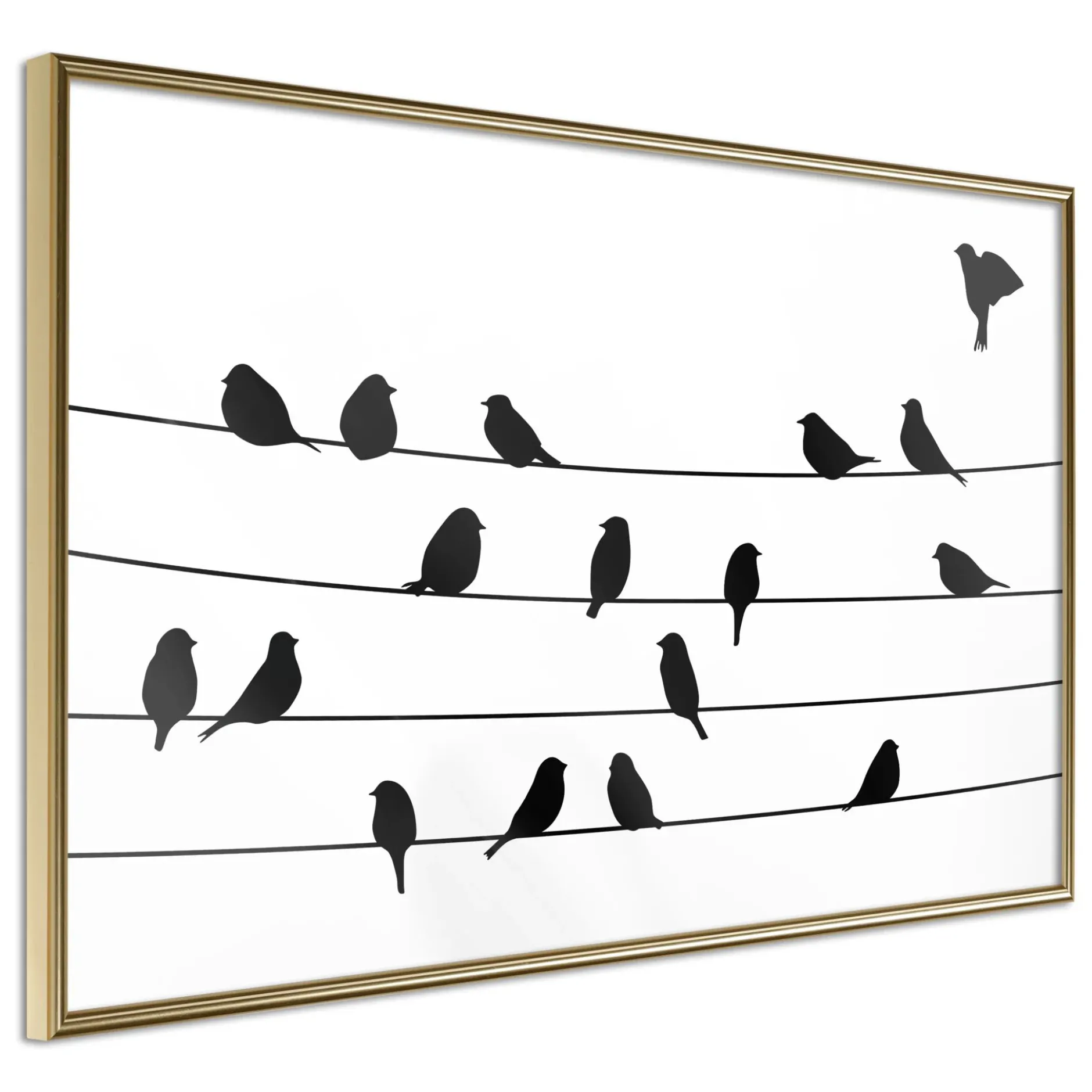 Poster 'Birds Council Meeting'