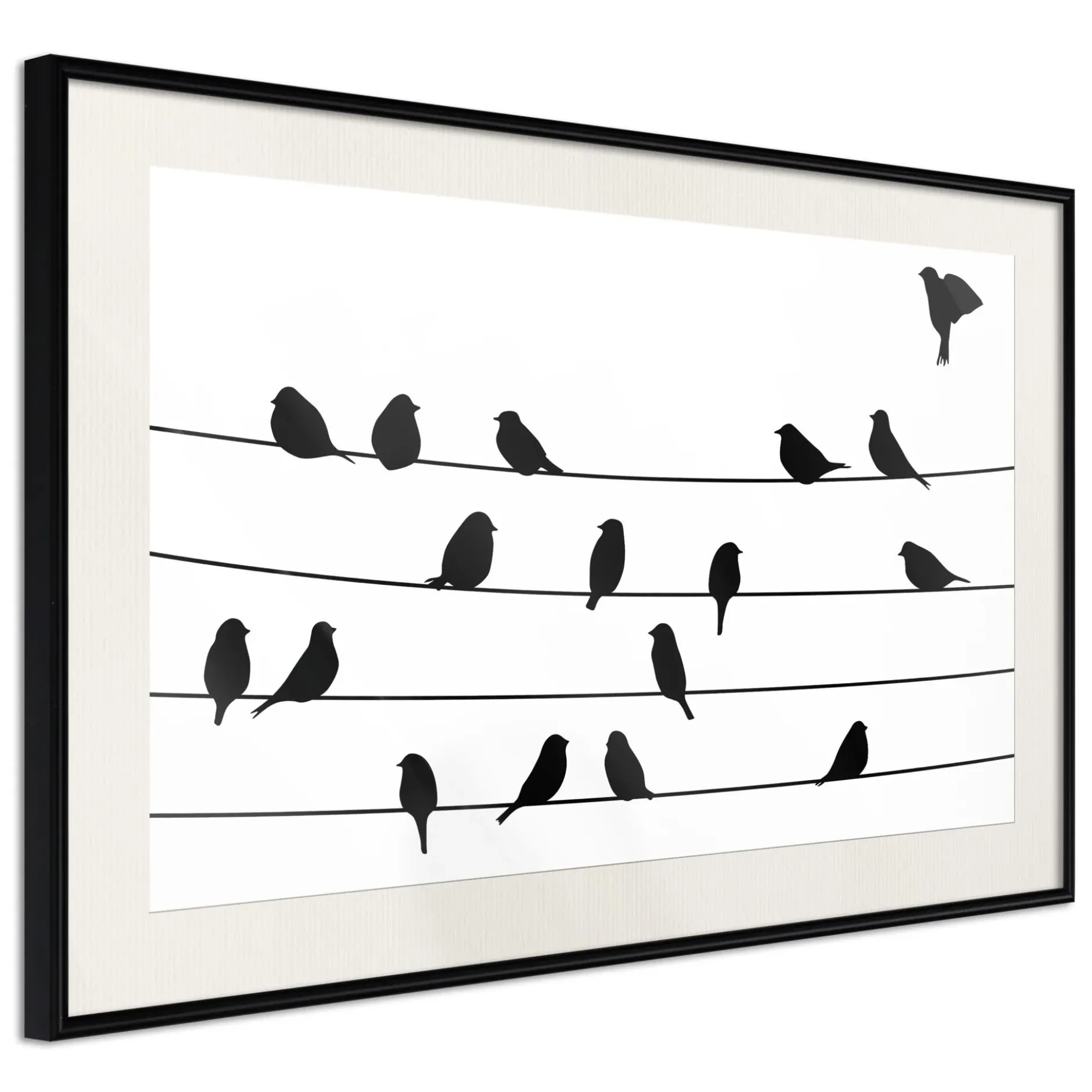 Poster 'Birds Council Meeting'